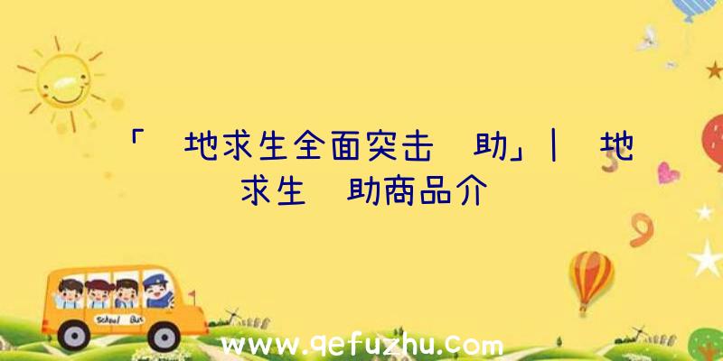 「绝地求生全面突击辅助」|绝地求生辅助商品介绍